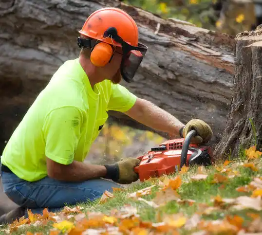 tree services Cheviot